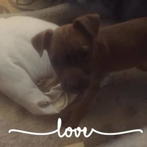 Meet your Posher, Brenda